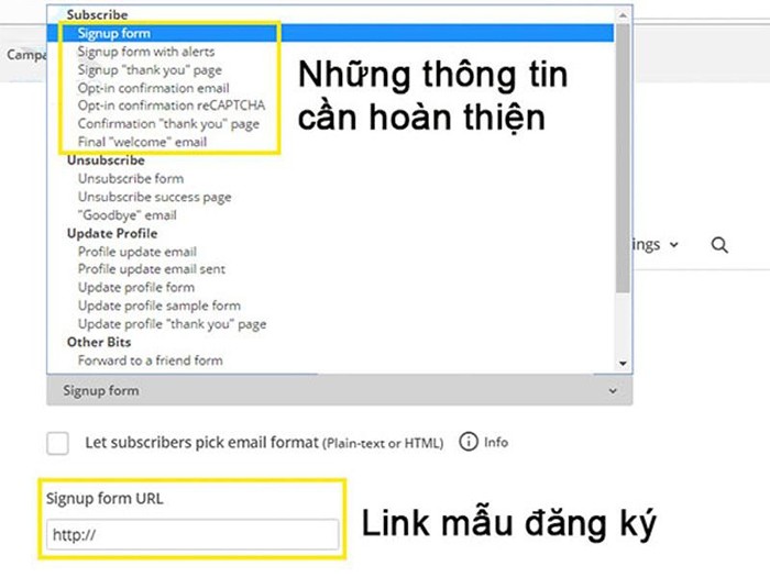 Tạo ra form đăng ký bằng cách sử dụng phần mềm Mailchimp