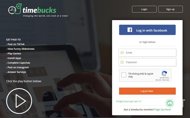 Ứng dụng Timebucks kiếm tiền trên Tik Tok