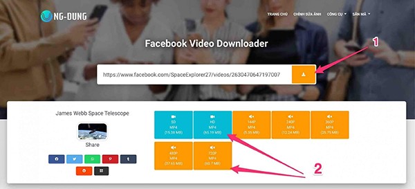 Dán đường link URL vào công vụ và nhấn Download