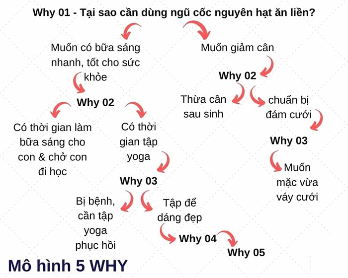 Mô hình câu hỏi Why