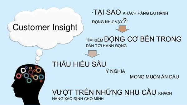 Vai trò của Customer Insights đối với doanh nghiệp