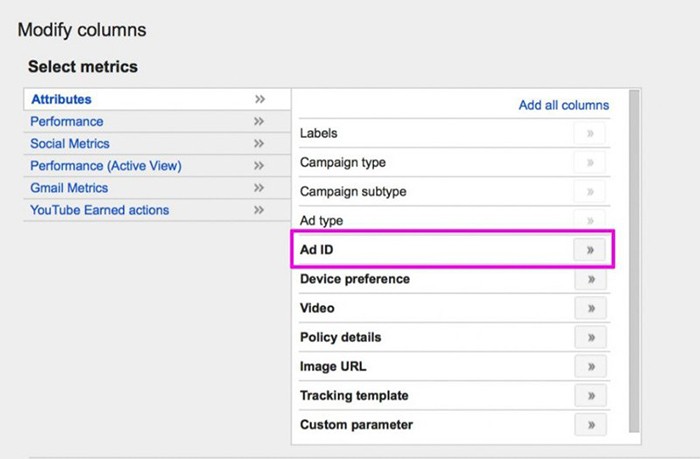 Phần Ad ID và Ad Type có trong Modify Columns