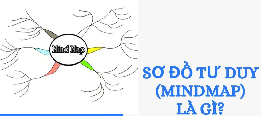 so-do-tu-duy-la-gi-nhung-loai-so-do-tu-duy-pho-bien-hien-nay