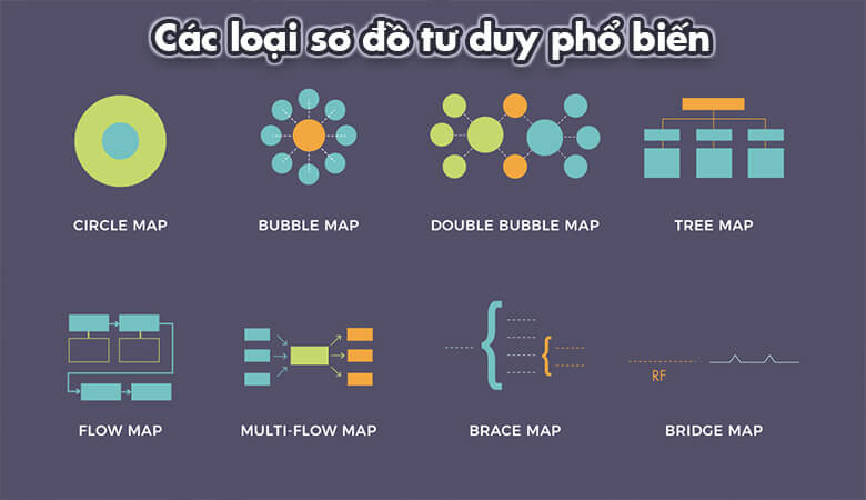 so-do-tu-duy-la-gi-nhung-loai-so-do-tu-duy-pho-bien-hien-nay