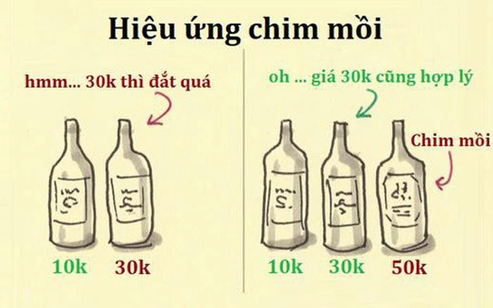 tat-tan-tat-hieu-ung-chim-moi-la-gi-chien-luoc-chim-moi-trong-marketing