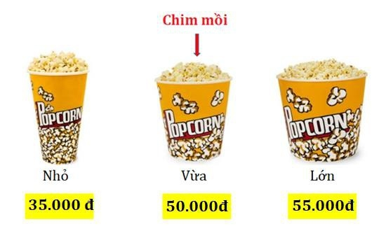 tat-tan-tat-hieu-ung-chim-moi-la-gi-chien-luoc-chim-moi-trong-marketing2