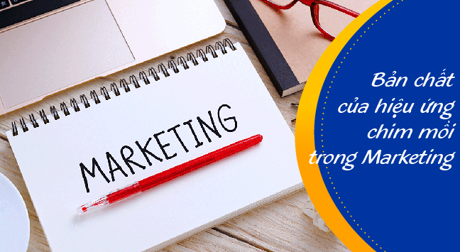tat-tan-tat-hieu-ung-chim-moi-la-gi-chien-luoc-chim-moi-trong-marketing3