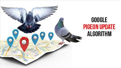 Google Pigeon là gì? Cách tăng rank từ khóa với Google Pigeon
