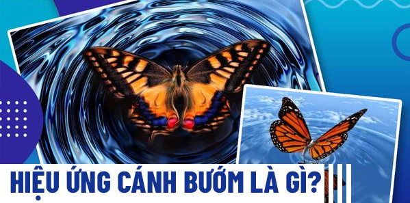 Hiệu ứng cánh bướm là gì? Chiến lược hiệu ứng cánh bướm trong Marketing